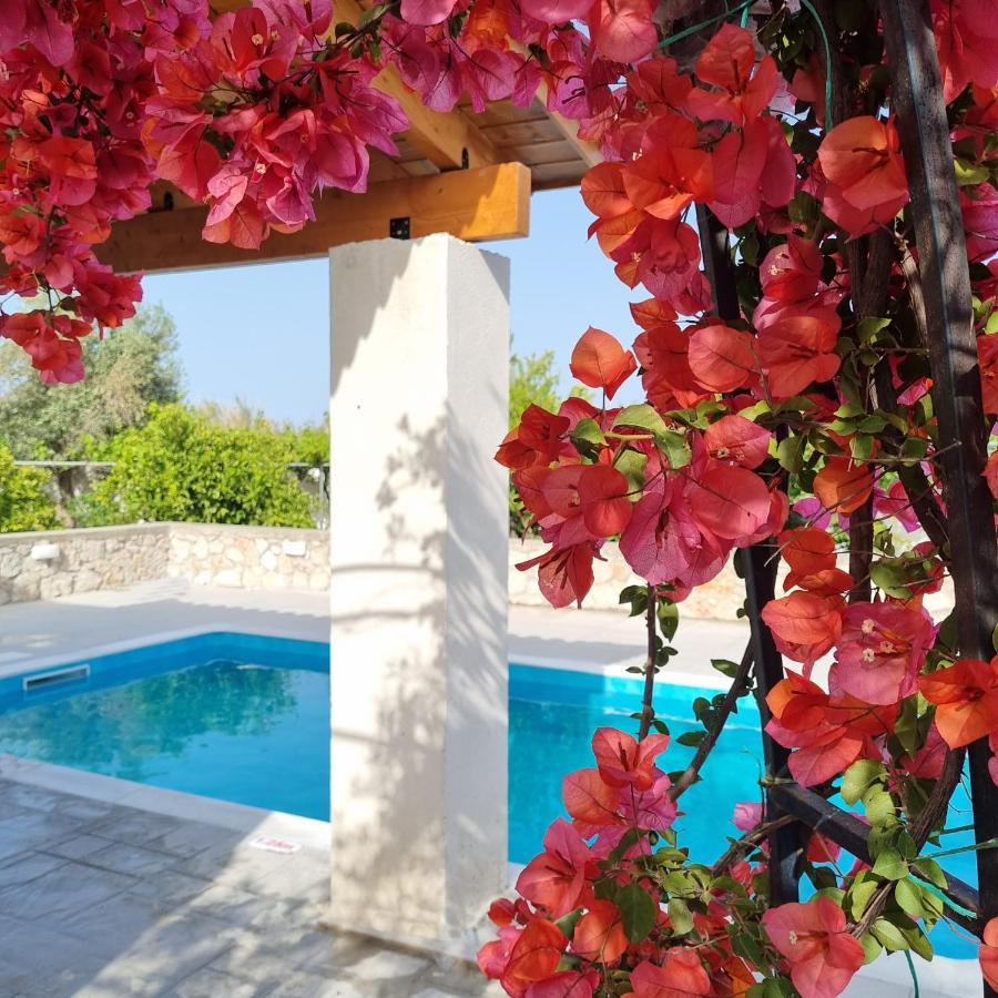 Lianas Garden House Villa Afantou Exterior photo